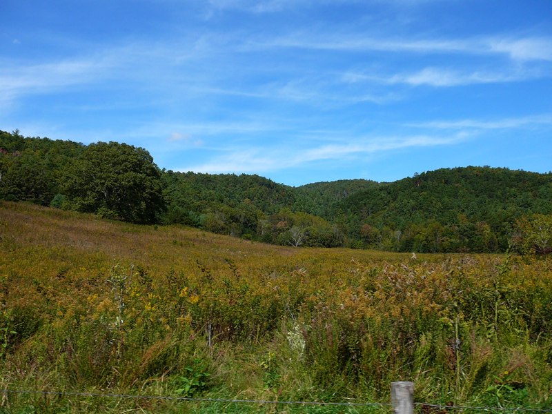 image12
